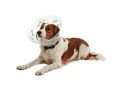 BUSTER Design Collars, Bones turquoise, 7.5 cm, 10/pk