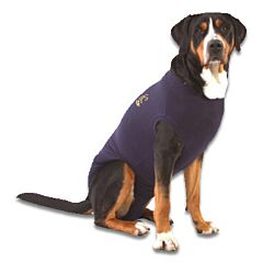 Medical Pet Shirt - XL, Blauw