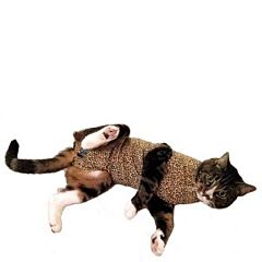 Medical Pet Shirt CAT - XS, LEOPARDPRINT