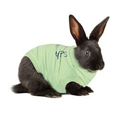 Medical Pet Shirt RABBIT-2XS