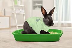 Medical Pet Shirt RABBIT-S