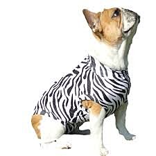 Medical Pet Shirt - XL, ZEBRAPRINT
