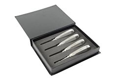 KRUUSE Elevator Set, winged, 1-4 mm, standard handle