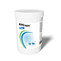 Techmix Rumen Yeast Capsules 25 capsules GMP+ FSA geborgd