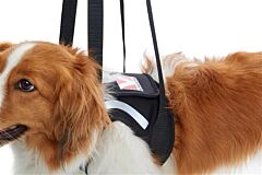 KRUUSE Rehab Lifting Harness, front legs, L