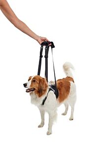 KRUUSE Rehab Lifting Harness, front legs, M