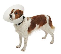 Hondenkraag Buster Classic Wit 20cm 10 stuks