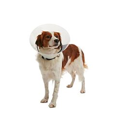 Hondenkraag Buster Clic Collar transparant 15cm 10 stuks