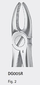 Kiezentang anatomica fig. 2