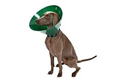 BUSTER Green Ocean Collar, 10 cm, 5/pk