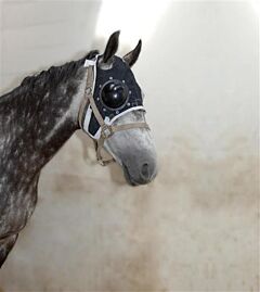 EQUIVET Eye Protector Kit, right eye, M