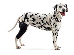 KRUUSE Rehab Knee Protector, left, XS