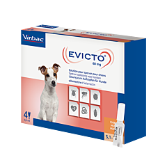 Evicto spot-on hond 5-10 kg 4 pipet
