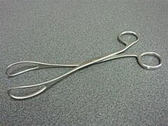 Verlostang deens model hond