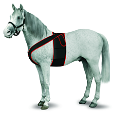 Televet KRUUSE ECG - Electrode Support, L