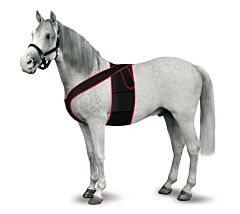 KRUUSE Televet Electrode Support, M