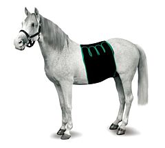 KRUUSE Equine Recovery Bandaging, M