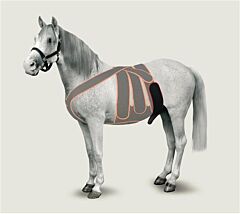 KRUUSE Equine Scrotum Strap, size L