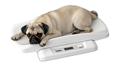 Compacte weegschaal Soehnle maximaal 20kg Robuust