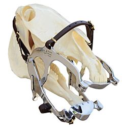 Super deluxe speculum normal bite plates