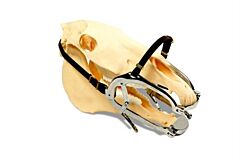 Millenium speculum normal bite plates