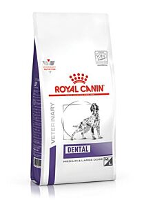 Royal Canin Dental 6 kg hond