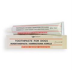 Diafarm Tandpasta 50 ml UITVERKOPEND