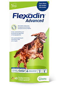 Flexadin Advanced Boswellia 60 chews