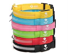 LED Halsband Hond MSD L per stuk UITVERKOPEND