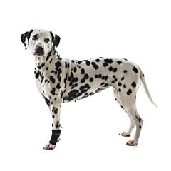 Buster Revalidatie Enkelbeschermer L