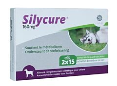 Silycure 160 mg 2 x 15 tabletten