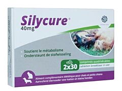 Silycure 40 mg 2 x 30 tabletten