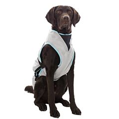 Dry Cooling Vest - Large