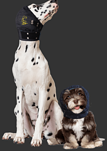 MPS Head Cover - Medium  +  1 x MPS HCPad - Small