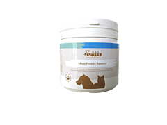 RAW Mono Protein Balancer 250 gram UITVERKOPEND