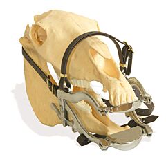 SE Speculum rubber bite plates