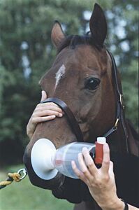 Kruuse Inhalatiesysteem Equinehaler 1 stuk