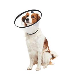 BUSTER Quick Collar, 15 cm, 5 pcs.