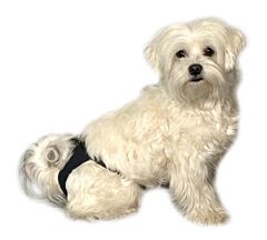 BUSTER Sanitary Pants black size 4