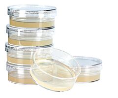 KRUUSE Sabaraud Agar Test, 6/pk