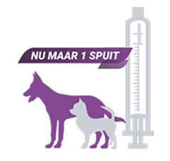 Metacam doseerspuitje kleine hond per stuk