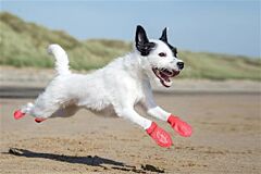 Pawz dog shoe, S, 6.4 cm, red