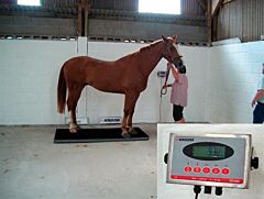 EQUIVET 1000 Equine Scales