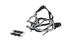 EQUIVET Millenium Speculum