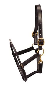 EQUIVET Dental Halter