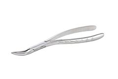 KRUUSE Root extractor