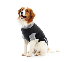 BUSTER Body Suit EasyGo for dogs, black/grey, 41 cm, size S