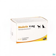 Moderin 4 mg 30 tabletten (cascade)