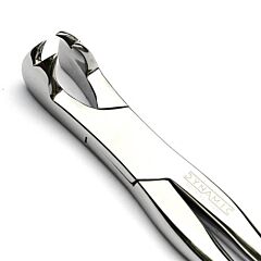DYNAMIC Pro Universal 4 Root Forceps – NEW DESIGN
