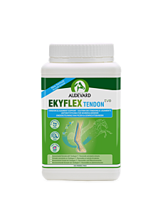Audevard Ekyflex Tendon EVO 900g